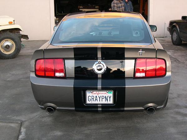 GRAYPNY Got Painted-stripes-002.jpg