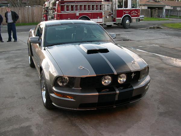 GRAYPNY Got Painted-stripes-003.jpg