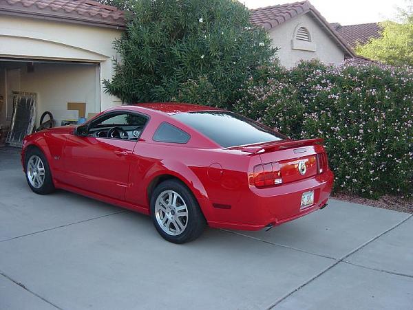 SilverHorse Racing Honeycomb installed on torch-3949.jpg