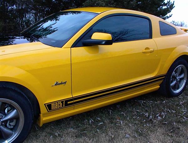 A couple pics of my Pony...-p0000027b.jpg