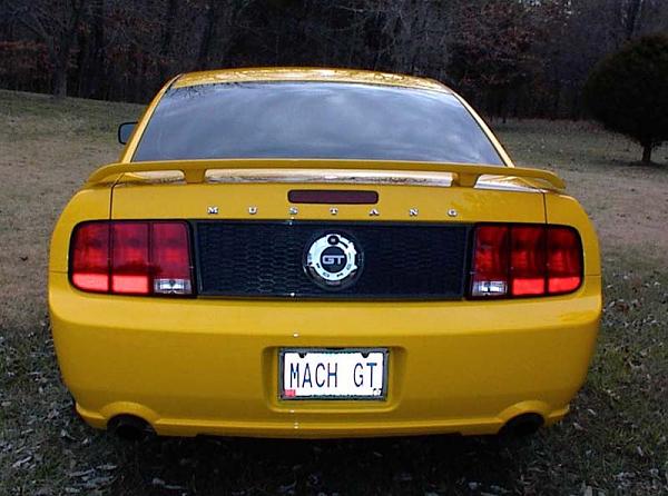 A couple pics of my Pony...-p0000021b.jpg