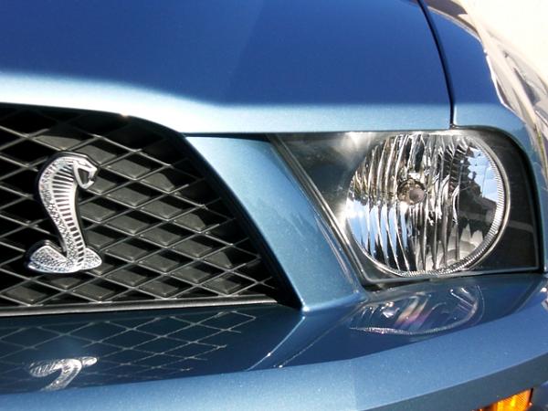 Cobra Conversion - Windveil Blue Pics-cimg1573.jpg