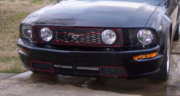 My factory grill is cramping my style-100_1881crop-.jpg