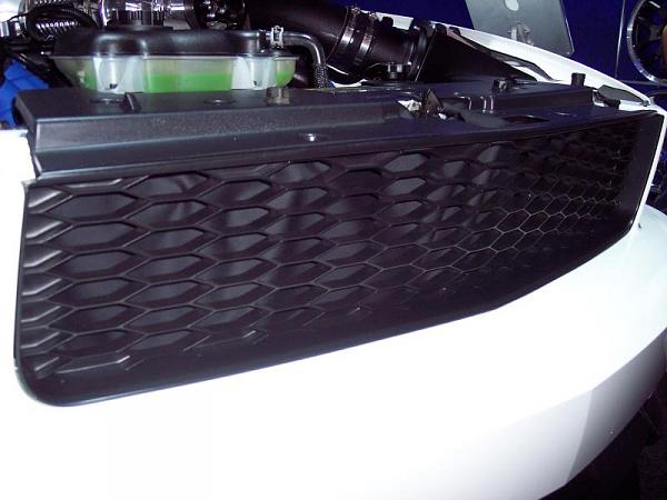 My factory grill is cramping my style-100_1633.jpg