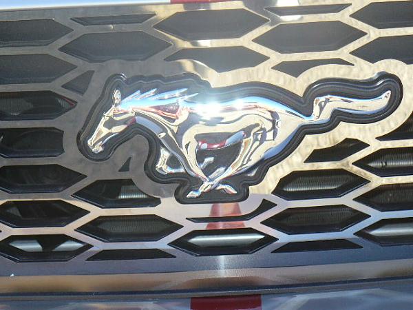 My factory grill is cramping my style-p1010053.jpg