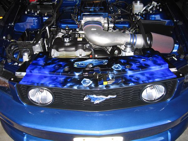 CUSTOM AIRBRUSHED RADIATOR COVER by Hireman/Mad Mic-cover.jpg