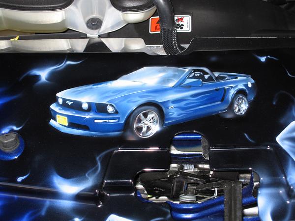 CUSTOM AIRBRUSHED RADIATOR COVER by Hireman/Mad Mic-cover1.jpg