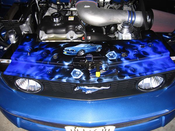 CUSTOM AIRBRUSHED RADIATOR COVER by Hireman/Mad Mic-cover2.jpg