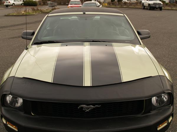 Official Stripes Thread: Photos &amp; Spreadsheet-newfront.jpg