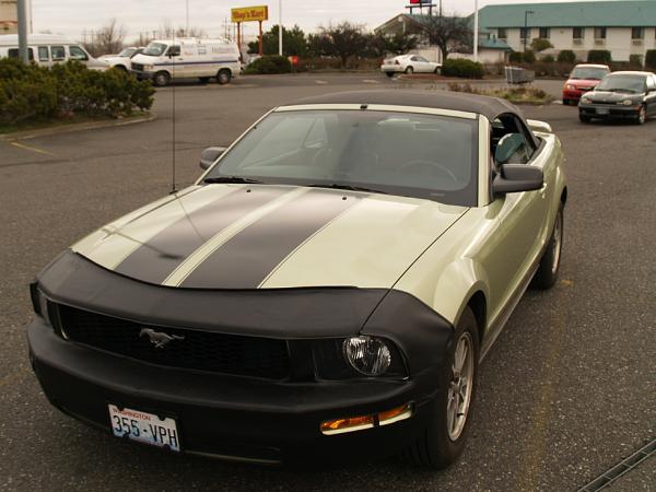 Official Stripes Thread: Photos &amp; Spreadsheet-newside.jpg