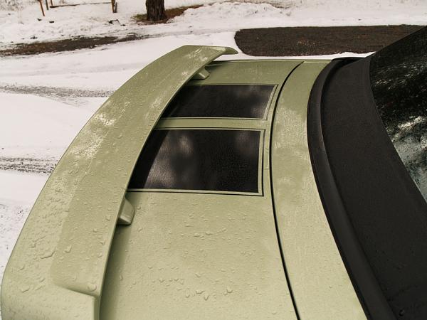 Official Stripes Thread: Photos &amp; Spreadsheet-newback.jpg