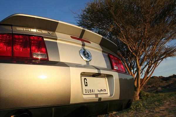 Cervini's, GT500, or Stock-img_0849.jpg