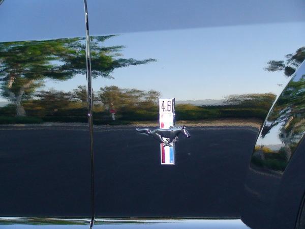 Post your pics of "custom" fender emblems>>-a7.jpg