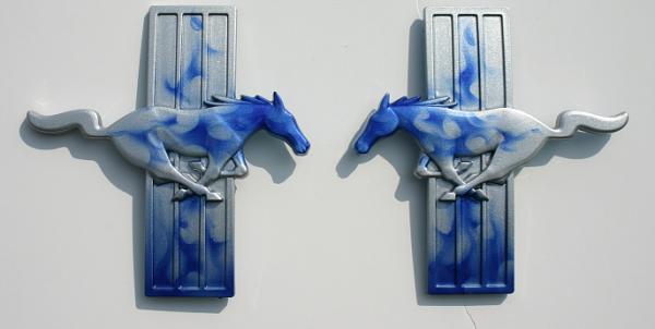 Post your pics of "custom" fender emblems>>-img_1039.jpg