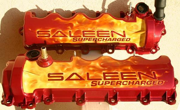 latest airbrushed stuff, cam covers, plenums-img_1662.jpg