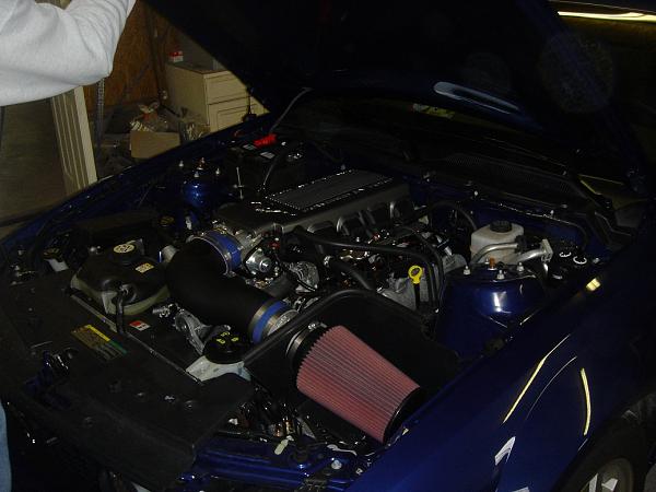 Cowl Hood Finished-enginebay.jpg