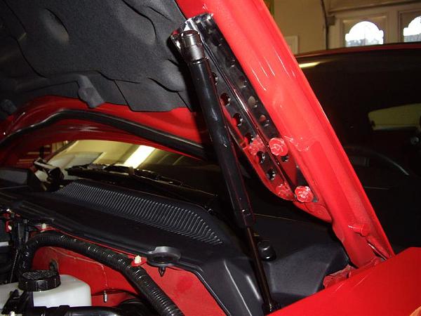 Love my CDC Hood lift struts-hood-struts-001-medium-.jpg