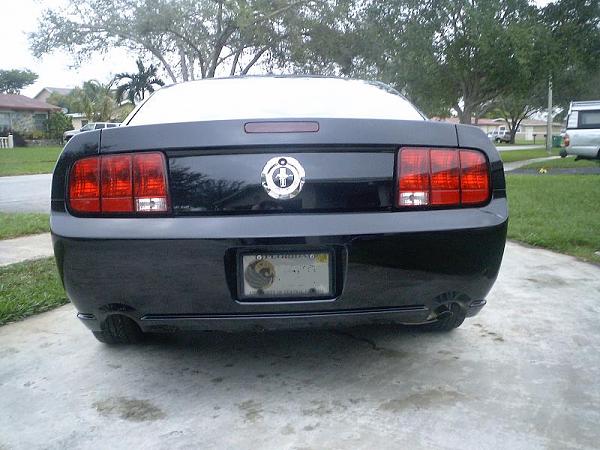 Installed! gt takeoff bumpers-back.jpg