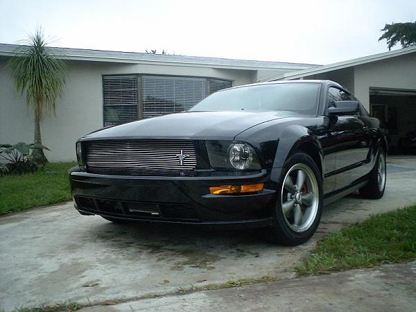 Installed! gt takeoff bumpers-front.jpg