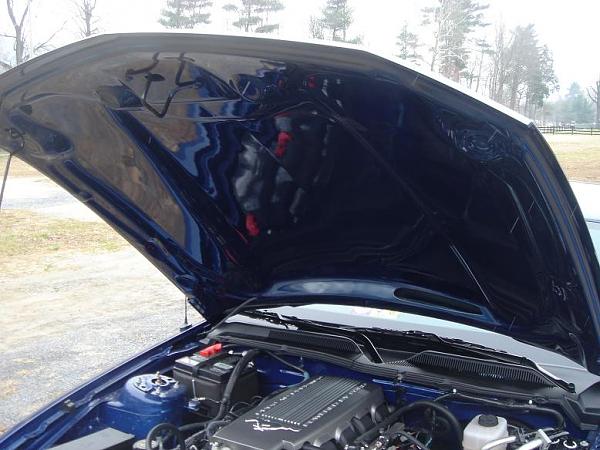 Looking for underside pics of all fibergalss hoods-underside1.jpg