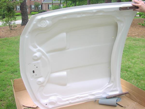 Looking for underside pics of all fibergalss hoods-p1010286.jpg
