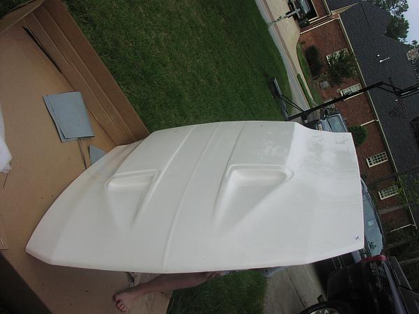Looking for underside pics of all fibergalss hoods-p1010282.jpg