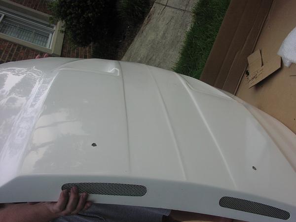 Looking for underside pics of all fibergalss hoods-p1010297.jpg