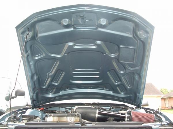 Looking for underside pics of all fibergalss hoods-hood-under.jpg
