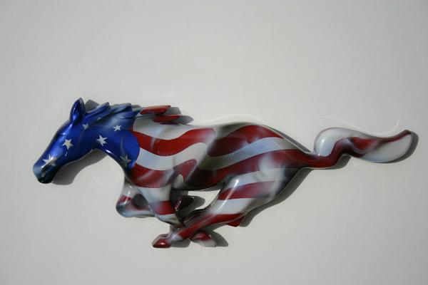 Stars and Stripe pony-img_0363.jpg