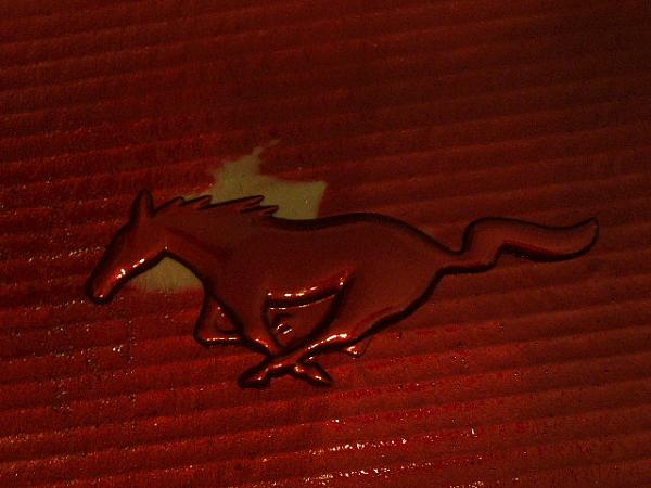 07 mustang gt intake cover mod!-p1010080.jpg