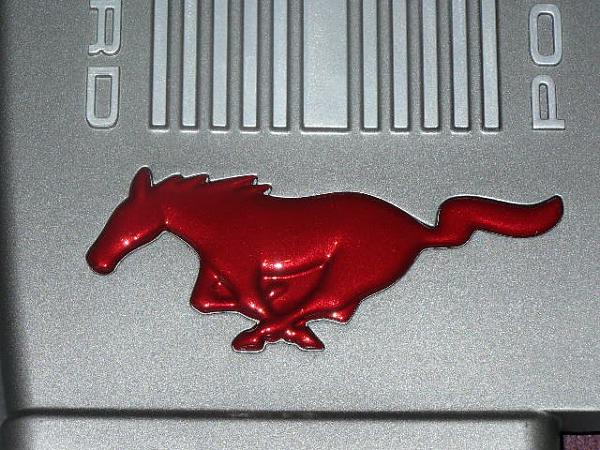 07 mustang gt intake cover mod!-p1010087.jpg