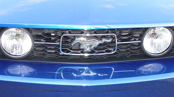 Has anyone seen anything like this?-p1000174.jpg