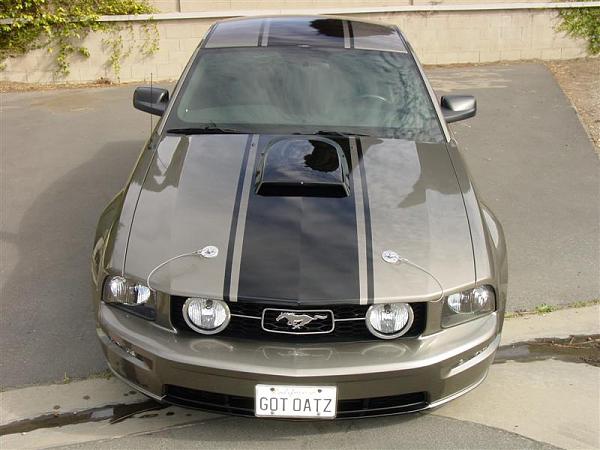 hood scoop help! :)-stripeson-045-medium-.jpg