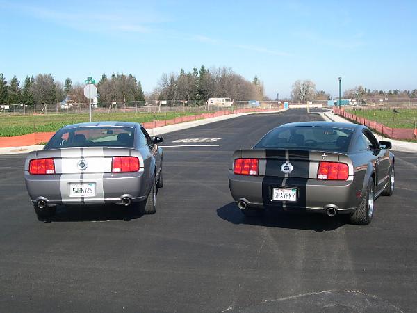 A Couple Of Grey Mustangs-146.jpg
