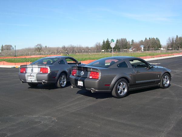 A Couple Of Grey Mustangs-147.jpg