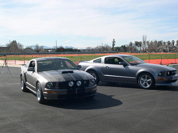 A Couple Of Grey Mustangs-148.jpg