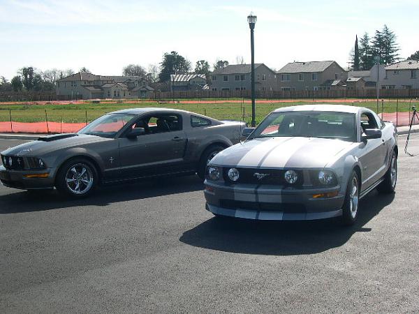 A Couple Of Grey Mustangs-149.jpg