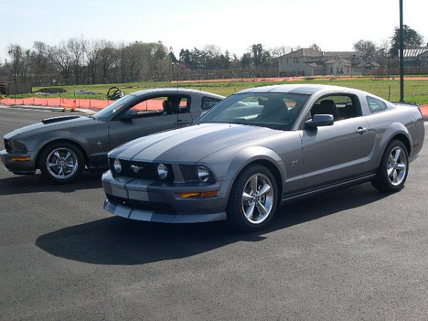 A Couple Of Grey Mustangs-150.jpg