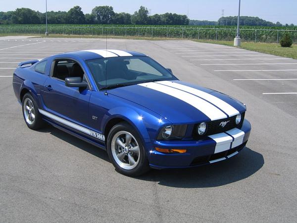 Post pics of your &quot;rocker&quot; side stripes here!!!-copy-img_4081.jpg