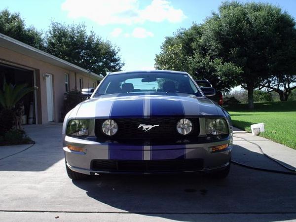 Official Stripes Thread: Photos &amp; Spreadsheet-24017472396.jpeg