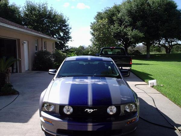 Official Stripes Thread: Photos &amp; Spreadsheet-24017475581.jpeg