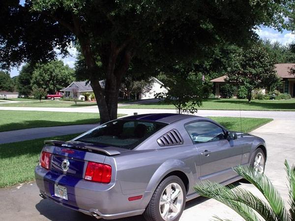 Official Stripes Thread: Photos &amp; Spreadsheet-24017483870.jpeg