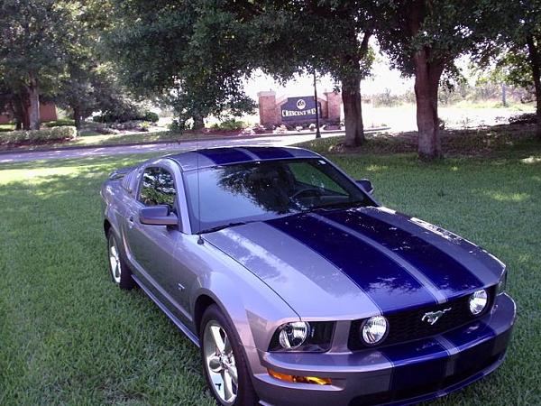 Official Stripes Thread: Photos &amp; Spreadsheet-24018001122.jpeg