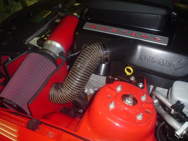 Latest member of the 'Shaker Club'-gt087b.jpg