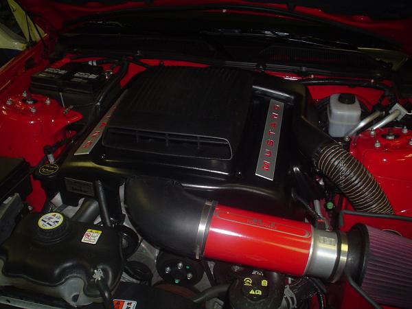 Latest member of the 'Shaker Club'-gt-088b.jpg