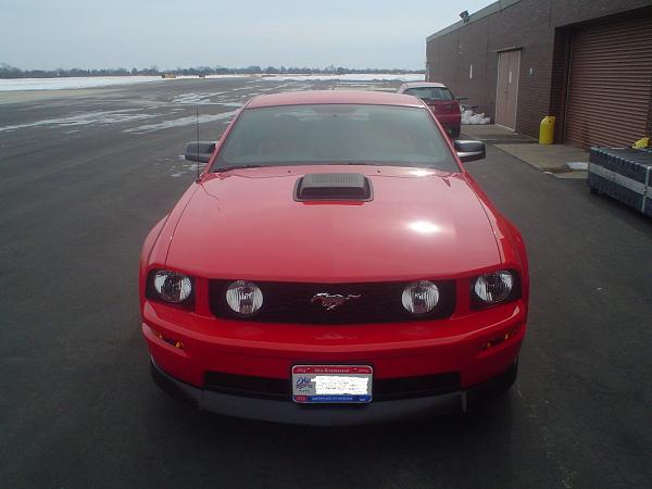 Latest member of the 'Shaker Club'-gt-091b.jpg