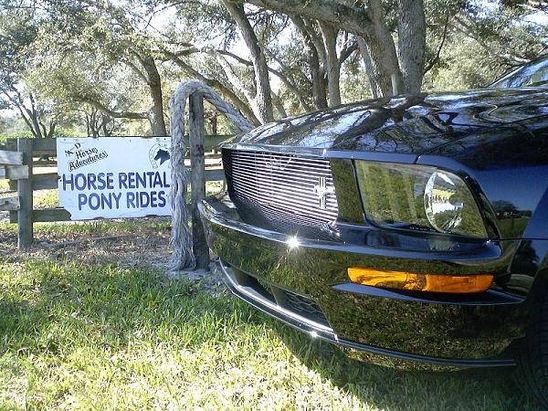 Billet Grills? Anyone Have A Thread Or Pictures?-imga2028.jpg