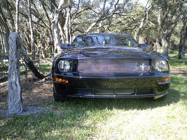 Billet Grills? Anyone Have A Thread Or Pictures?-imga2031.jpg