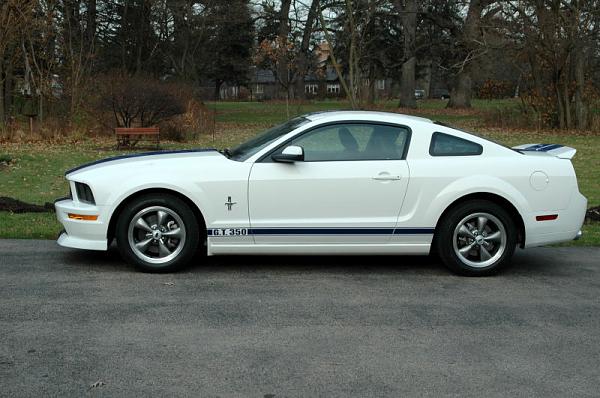 Post pics of your "rocker" side stripes here!!!-0006.jpg