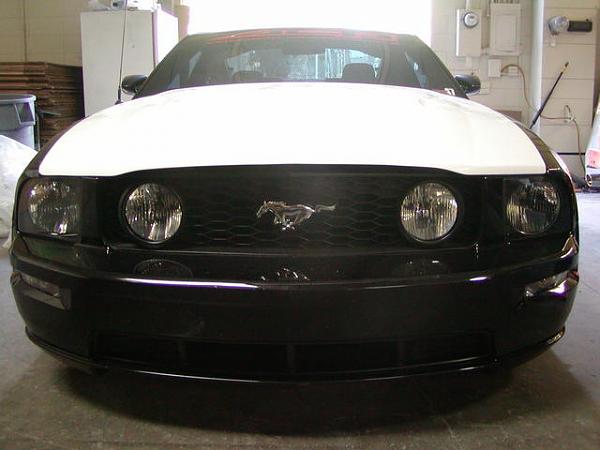 Someone make aftermarket hoods for the Shelby please-shelbygt50003.jpg